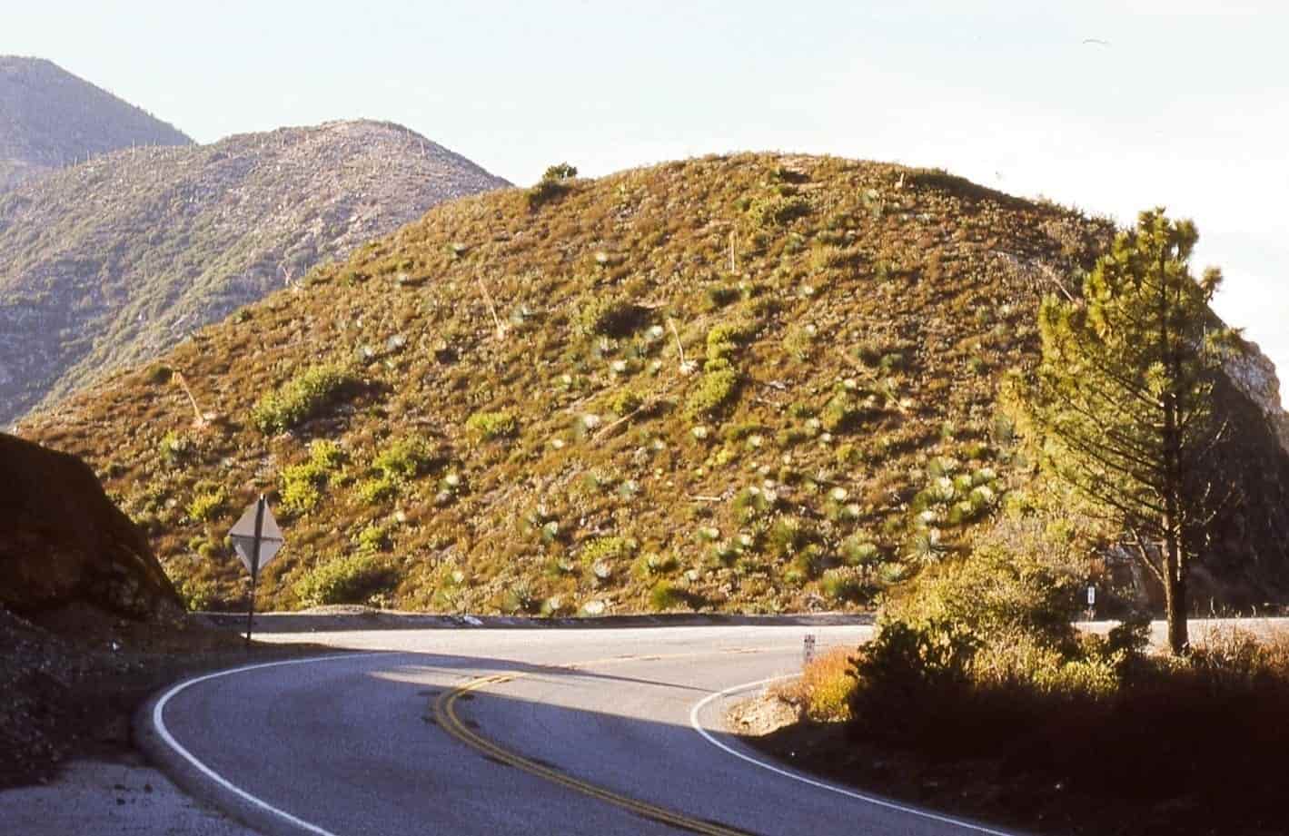 Best Car Warranties Arkansas